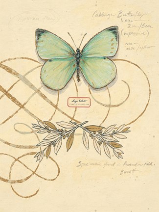 Framed Scripted Papillon Print