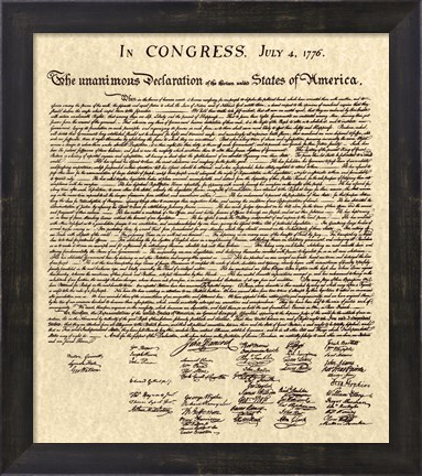 Declaration of Independence Khaki