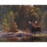 North Country Moose Fine Art Print by Bruce Miller at FulcrumGallery.com