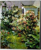 Backyard Garden Fine Art Print