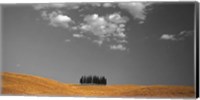 Toscana Landscape 3 Fine Art Print