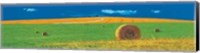 Gio Mondelli - Pomeriggio Size 54.5x18.25 Fine Art Print