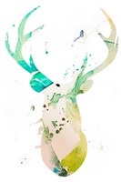Youthful Deer II Framed Print