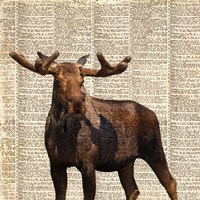 Country Moose I Framed Print