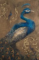 Pershing Peacock I Framed Print