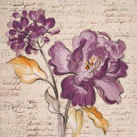 Lilac Beauty II Framed Print
