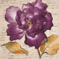 Lilac Beauty I Framed Print