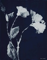 Floral Whisper In The Dark II Framed Print