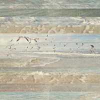 Flying Beach Birds I Framed Print