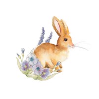 Spring Bunny II Framed Print