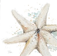 Water Starfish Framed Print