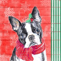 Holiday Puppy II Framed Print