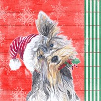 Holiday Puppy III Framed Print