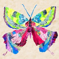 Brilliant Butterfly I Framed Print