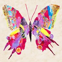 Brilliant Butterfly II Framed Print