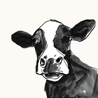 Cow Contour I Framed Print