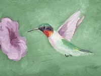 Fresco Hummingbird II Framed Print