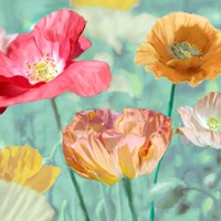 Poppies in Bloom II Framed Print