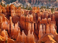 Morning Light On The Hoodoos Of Bryce Canyon National Park Framed Print