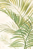 Palms I Bright Framed Print