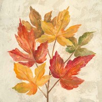 November Leaves IV Framed Print