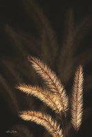 Golden Grass I Framed Print