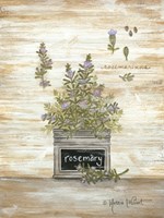 Rosemary Botanical Framed Print