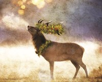 Holly and Ivy Stag Fine Art Print