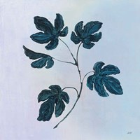 Botanical Study III Blue Framed Print
