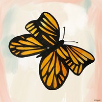 Butterfly II Framed Print