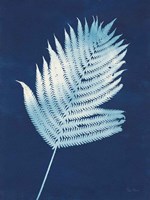 Nature By The Lake - Ferns III Framed Print