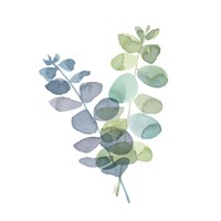 Natural Inspiration Blue Eucalyptus on White I Framed Print