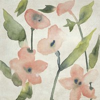 Blush Pink Blooms I Framed Print