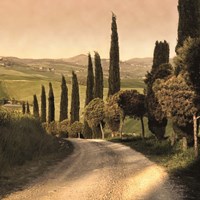 Country Lane, Tuscany Framed Print