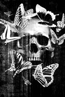 Skull Butterfly Crown Fine Art Print