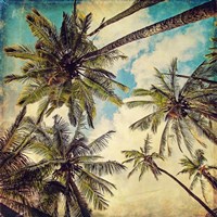 Kauai Island Palms Framed Print