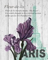 Paris Iris Framed Print