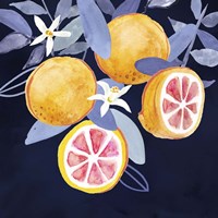 Fresh Fruit III Framed Print
