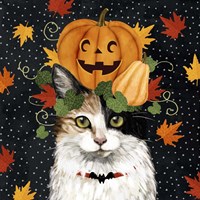 Halloween Cat II Framed Print