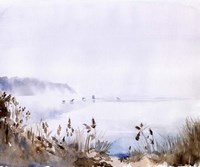 Sea Oats Mist I Framed Print