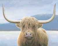 Highland Cow v2 Fine Art Print