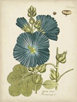 Eloquent Botanical IV Framed Print