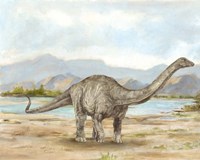 Dinosaur Illustration V Framed Print