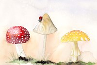 Faerie Mushrooms I Framed Print