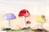 Faerie Mushrooms II Framed Print