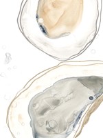 Ocean Oysters I Framed Print