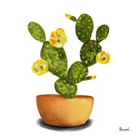 Cactus Flowers III Framed Print