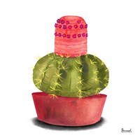 Cactus Flowers IV Framed Print
