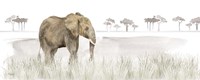 Serengeti Elephant horizontal panel Framed Print