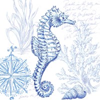 Coastal Sketchbook Sea Horse Framed Print